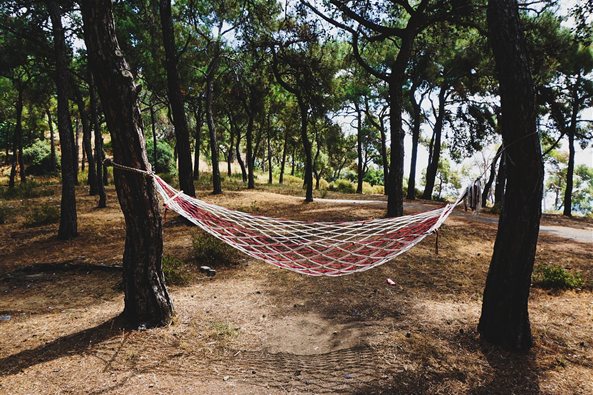 Hamaca entre pinos en el bosque, imagen de la terapia para la adicción a las nuevas tecnologías en Zaragoza